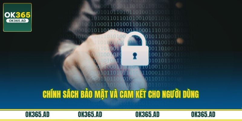 Chính sách bảo mật và cam kết cho người dùng