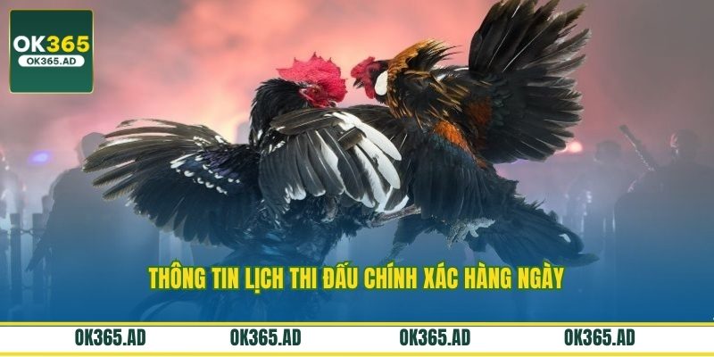 Thông tin lịch thi đấu chính xác hàng ngày Thông tin lịch thi đấu chính xác hàng ngày