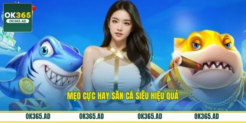Mẹo cực hay săn cá siêu hiệu quả Mẹo cực hay săn cá siêu hiệu quả