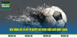 Kèo Bóng Cỏ Là Gì? Bí Quyết Cá Cược Hiệu Quả Nhất 2026
