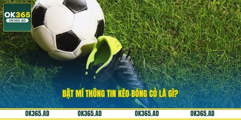Bật mí thông tin kèo bóng cỏ là gì? Bật mí thông tin kèo bóng cỏ là gì?