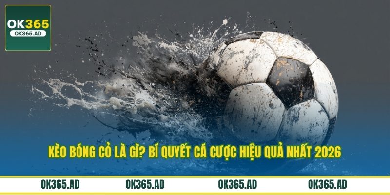 Kèo Bóng Cỏ Là Gì? Bí Quyết Cá Cược Hiệu Quả Nhất 2026
