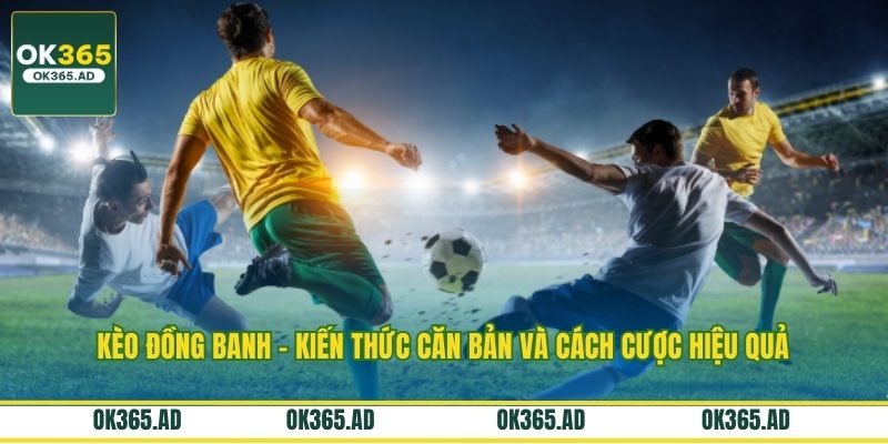 Kèo Đồng Banh - Kiến Thức Căn Bản Và Cách Cược Hiệu Quả