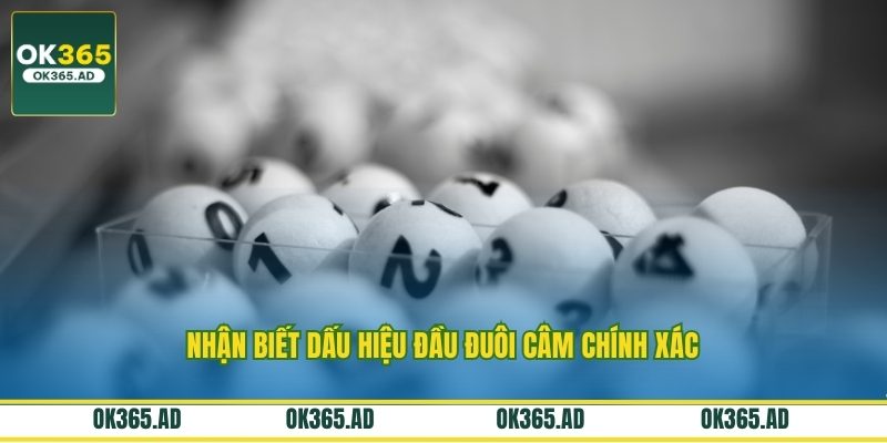 Nhận biết dấu hiệu đầu đuôi câm chính xác Nhận biết dấu hiệu đầu đuôi câm chính xác