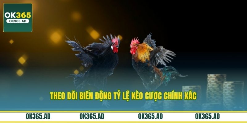 Theo dõi biến động tỷ lệ kèo cược chính xác Theo dõi biến động tỷ lệ kèo cược chính xác