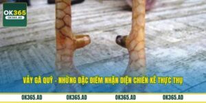 Vảy Gà Quý - Những Đặc Điểm Nhận Diện Chiến Kê Thực Thụ